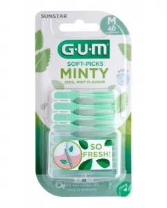 40 Шт. Интердентальные Зубочистки Soft-Picks Мятные Средние Мятная Жевательная Резинка Gum