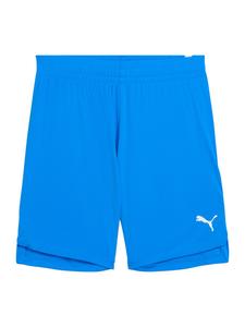 Обычные спортивные штаны PUMA Teamjaws Starter, лазурный