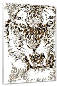 Картина на холсте Hustling Sharks The Tiger, белый