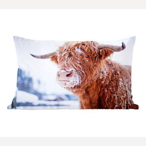 MuchoWow Scottish Highlander - Шотландский горец, засыпанный снегом - 50x30 см - чехлы на диванные подушки - без наполнителя