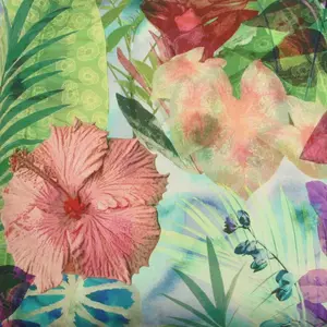 Декоративные подушки Klara, комплект из 2 штук Go-De, Grün/rose + geblümt