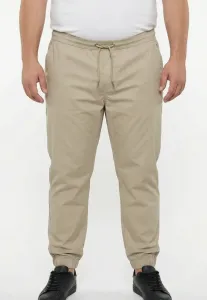 Спортивные брюки slipon flexlastic с эластичным поясом, размер до 8 xl. Men Plus, Sand