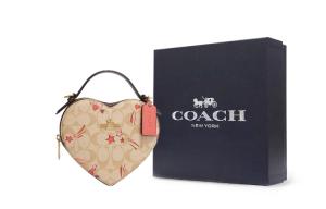 COACH Холщовая сумка с кожаным сердцем в форме сердца коробка сумка через плечо маленький размер женская хаки