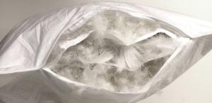 Роскошная 3-камерная подушка Hofmann 50х50 см, набивка, мягкий пуховый чехол Betten Hofmann