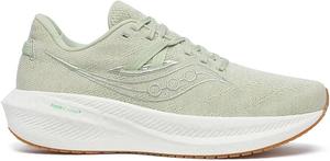 Мужские кроссовки Saucony Triumph Rfg, шалфейный