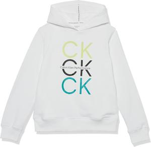 Спортивная толстовка с капюшоном Calvin Klein для девочек, White Tricolor