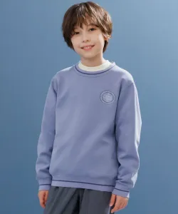 Толстовка с вышитым логотипом из картона 140-170 см J.Press, цвет Dull Blue [074]