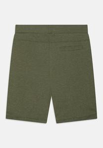 Спортивные брюки NKMVIMO Name it, зеленый