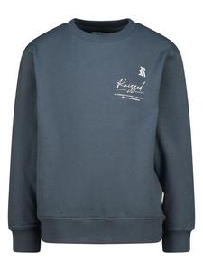 Толстовка Нил серого цвета RAIZZED