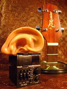 Басс гитара Takamine TK-40B BASS G Series Acoustic BASS Guitar preamp NEW