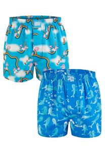 Трусы боксеры Lousy Livin Sky Gym & Dolphin, синий