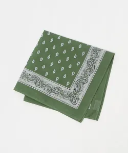 Носовой платок с узором пейсли United Arrows, цвет Olive