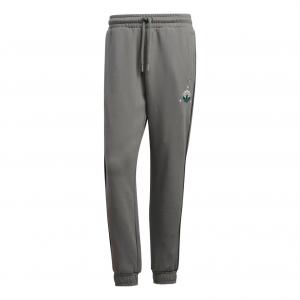 Спортивные брюки adidas originals Logo HS7302