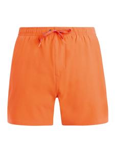 PROTEST Шорты для серфинга 'PRTIgapo' в цвете Plum