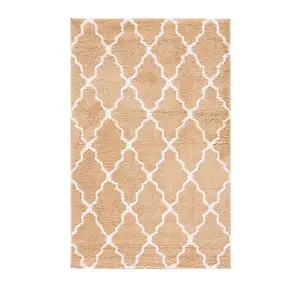 Ковер Berber Shag Regina Safavieh, 153x244 см