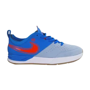 Кроссовки Nike Project BA Premium, синий