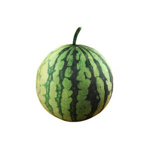 Плюшевая кукла арбуз реалистичная, высота 25см/35см JINXIANGHE