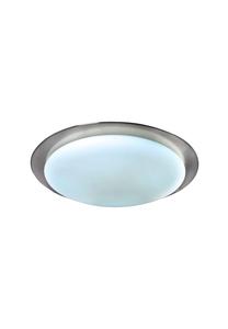 Светодиодный потолочный светильник Триест d: 58,5см Näve Leuchten, серебро