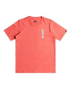 QUIKSILVER Футболка WARPED Pink Boy