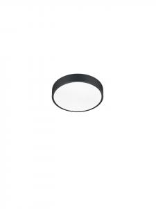 Потолочный светильник WACO матово-черного цвета Trio Leuchten