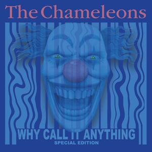 Виниловая пластинка LP Why Call It Anything [Colored Vinyl] - The Chameleons