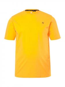 Футболка с короткими рукавами цвета моркови JP1880