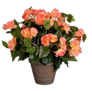 Декоративное растение Mica Decorations Begonien, 36x36x36 см цвет lachsrosa