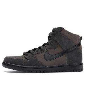 Кроссовки sb dunk high pro 'brown' Nike, мультиколор