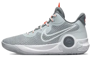 Кроссовки Nike KD Trey 5 IX чистая платина