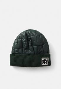 Шапка WINTER BEANIE UNISEX Quiksilver, зеленый