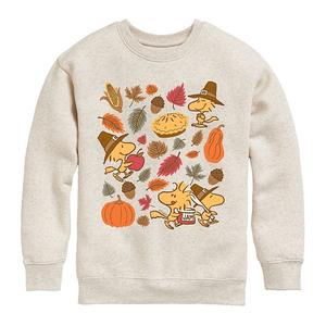 Детская флисовая толстовка Peanuts Woodstock Thanksgiving Licensed Character