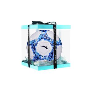 ANTA Размер 5 футбольный мяч PVC машинной строчки унисекс white blue