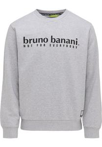 Толстовка Bruno Banani King, Grey