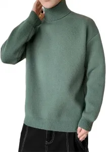 Мужская водолазка осенне-зимняя вязаная однотонная Vsadsau