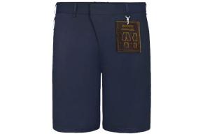 Новые квартальные продукты LV повседневные шорты мужские синие Louis Vuitton, синий