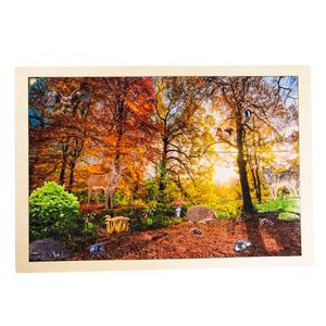 Слои леса, деревянная головоломка, лесное образование. Inna marka