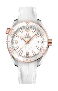 Часы planet ocean 600m co axial master chronometer 39 Omega