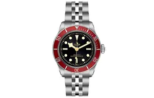 Мужские часы BLACK BAY Collection TUDOR