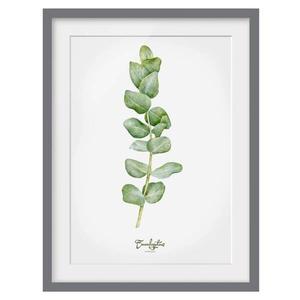 Картина Bilderwelten Aquarell Botanik Eukalyptus III, 70x100x2 см, зеленый