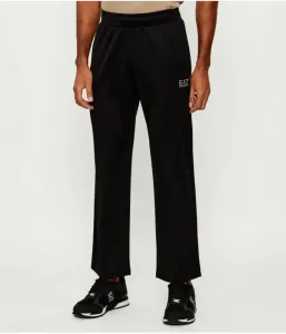 Спортивные штаны regular fit Ea7, черный