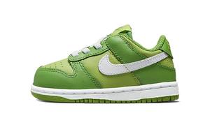 Кроссовки Nike Dunk Low Chlorophyll TD