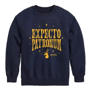 Флисовая толстовка expo патронум для мальчиков 8–20 лет Harry Potter, синий