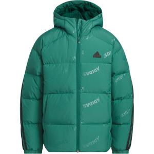 GS Стеганые куртки Adidas, зеленый
