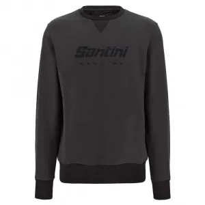 Толстовка Santini Logo, серый