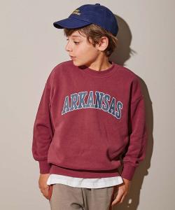 Толстовка с крупным силуэтным принтом Devil Lab, модель 25AW Devirock, цвет 001-Logo-Bordeaux