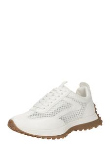 STEVE MADDEN Кроссовки 'Dasherr' в белом цвете