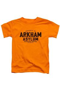 Футболка с коротким рукавом Batman Arkham Asylum для малышей Gildan, оранжевый