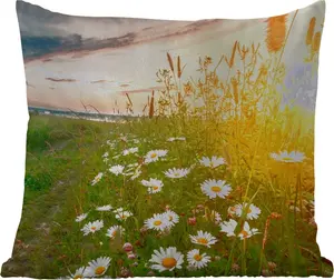 Подушка для улицы - Цветы - Ромашки - Природа - Солнце - Горизонт - 50x50 см - Устойчива к погодным условиям - Подушка для отдыха - Удобная - Подушка с изображением MuchoWow