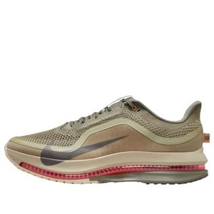 Кроссовки Nike Pegasus Premium 'Running Poets'