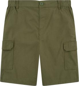 Шорты-карго Levi's для мальчиков, Loden Green